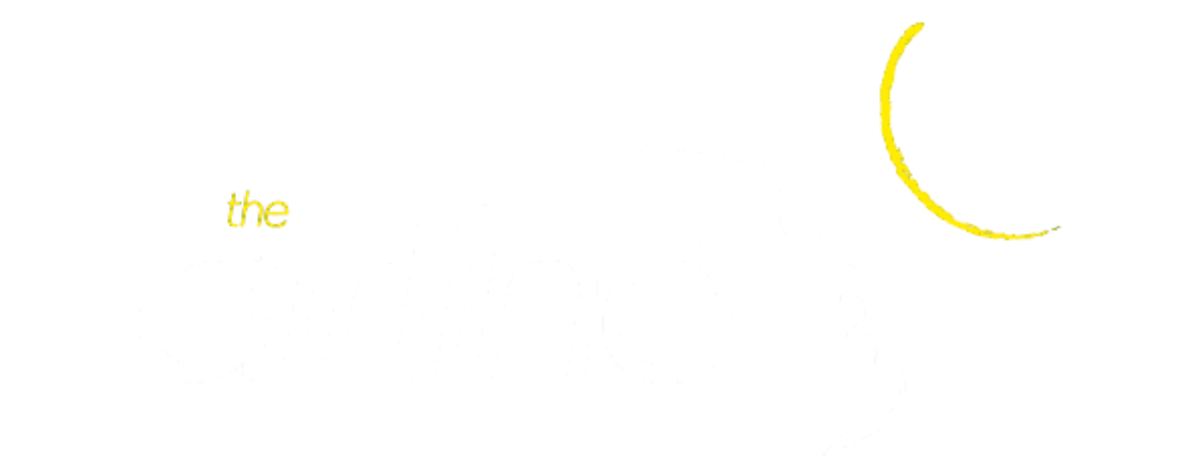 the airline